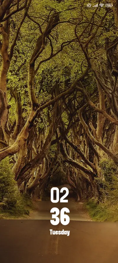 Road Forest THEME for Xiaomi MIUI HyperOS