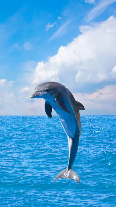 Sea creature-03 - Screenshot 1