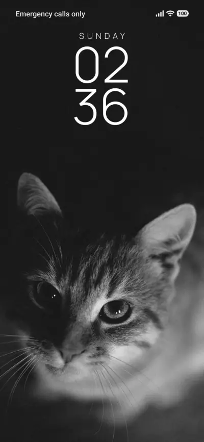 Cute Cat THEME for Xiaomi MIUI HyperOS