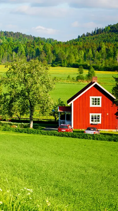 Green eye protection-05