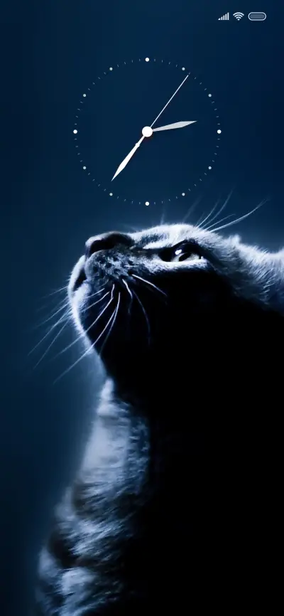 Cat On - Screenshot 1