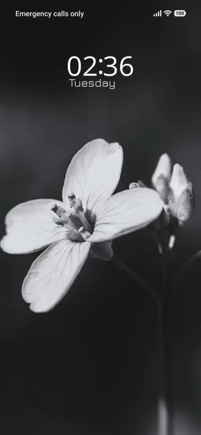 Dream Focus - Screenshot 1