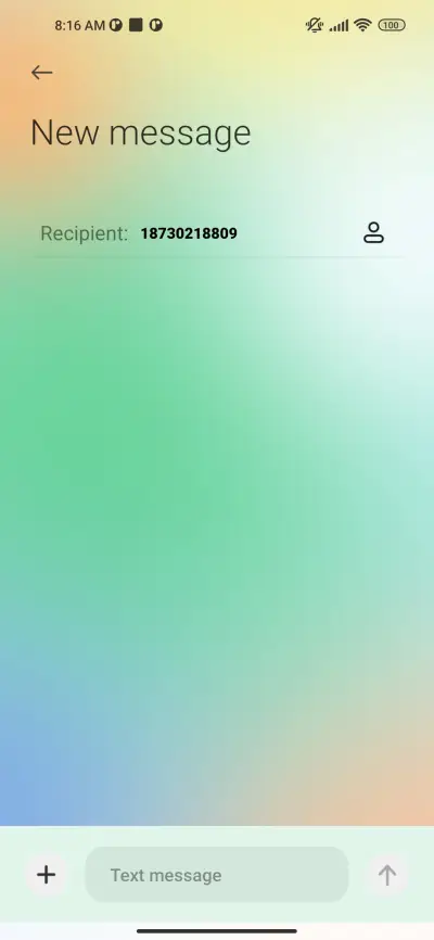 Brazilian customs - Screenshot 8