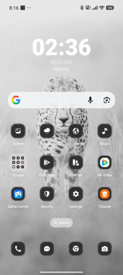 White Cat - Screenshot 2