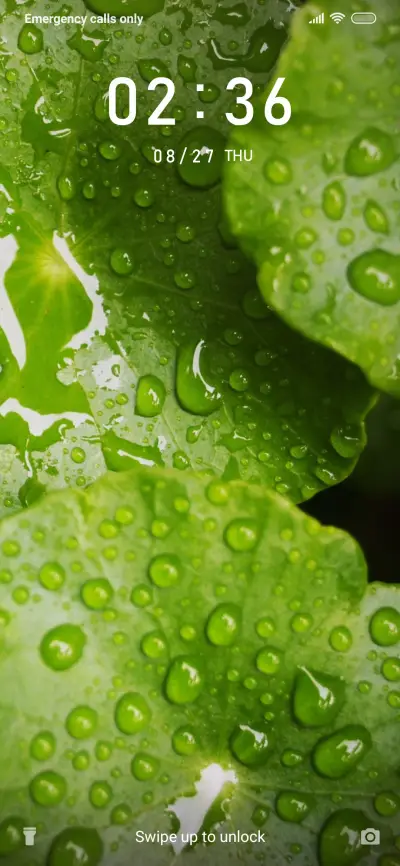 Fresh Water_3MDS