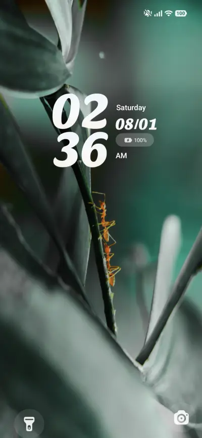 AS Zoro THEME for Xiaomi MIUI HyperOS