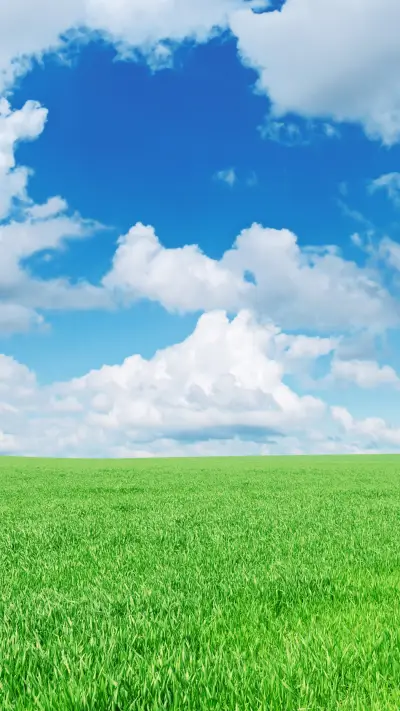 beautiful wallpapers-09