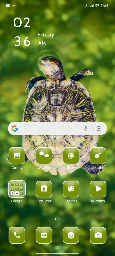 Brown Turtle - Screenshot 2