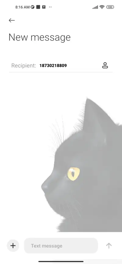 Black Cat - Screenshot 8