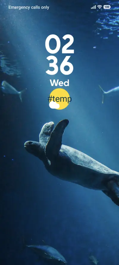 Blue Turtle - Screenshot 1