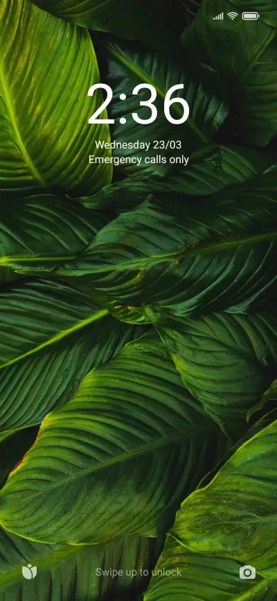 Rain and Nature - Screenshot 1