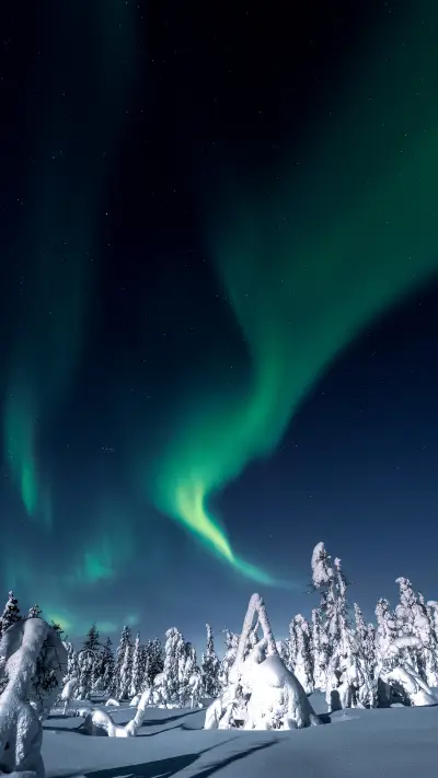 Dance of the aurora over the snowy hills of the Arctic