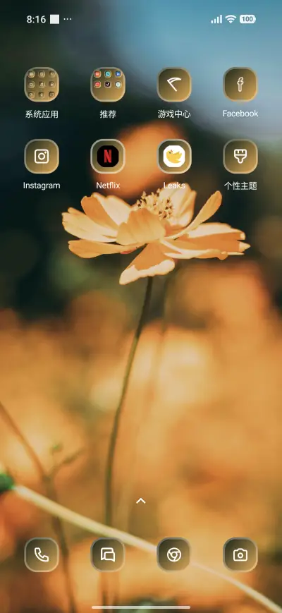 Flower Field - Screenshot 3