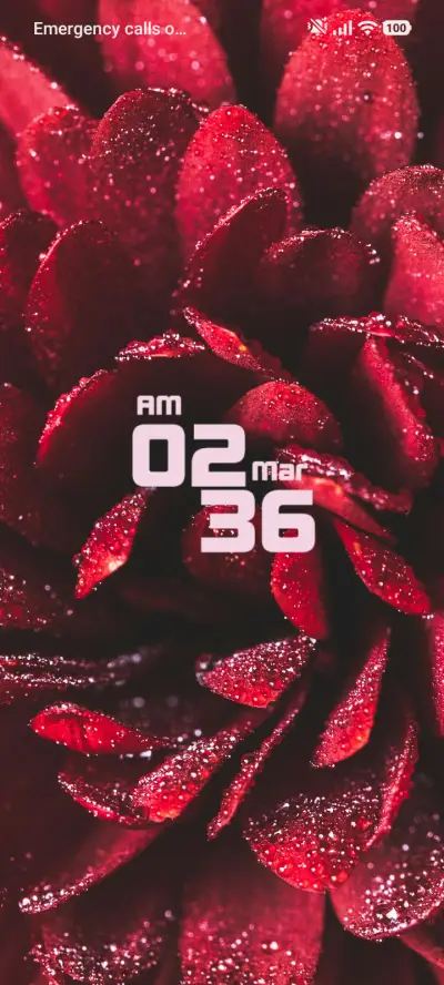 Red Petals - Screenshot 1