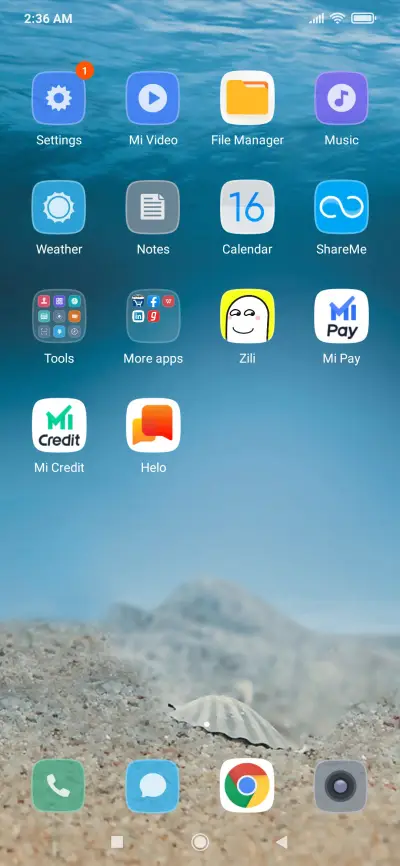 Conch Live NY - Screenshot 3
