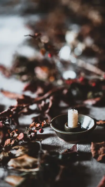 international_festival (6)