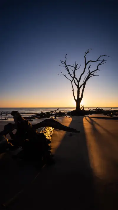 beautiful wallpapers-02