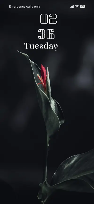 Crimson Bud THEME for Xiaomi MIUI HyperOS