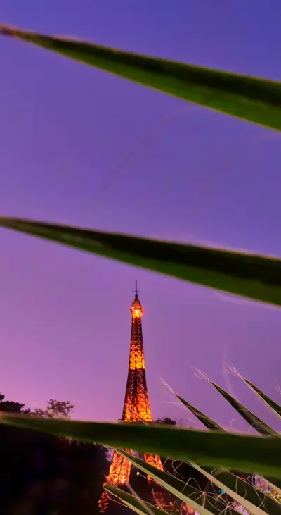 Aditya Srivastav B2 (8)