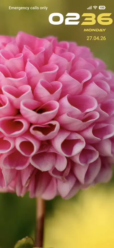 Pink Flower THEME for Xiaomi MIUI HyperOS