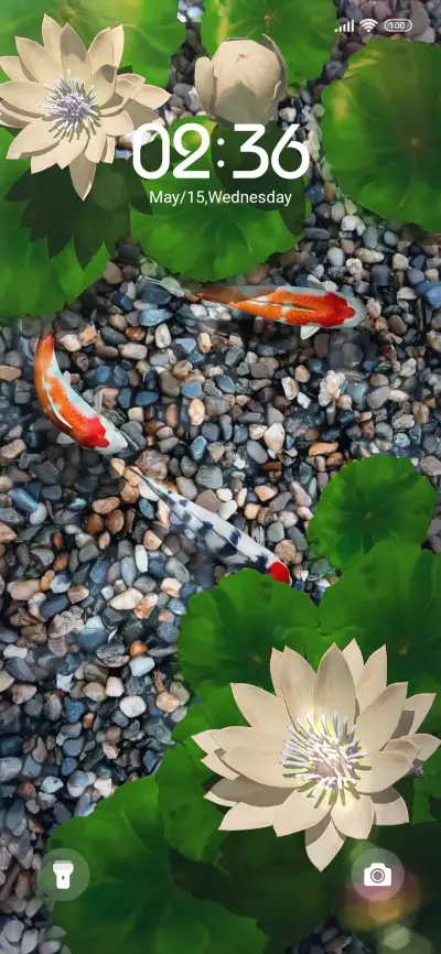 Transit Koi - Screenshot 2