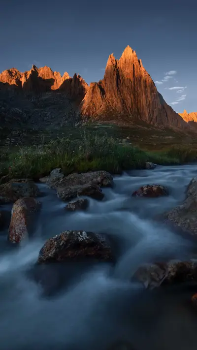 Secret realm lotus treasure leaf