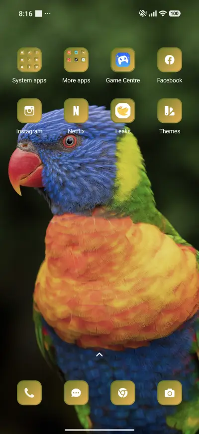 Colourful parrot - Screenshot 3