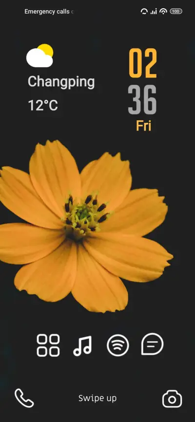 Morning Flower - Screenshot 1