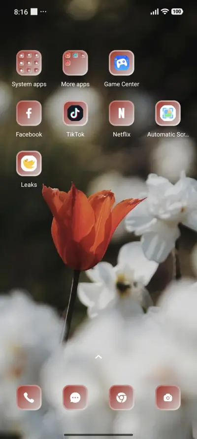 Daisy - Screenshot 3
