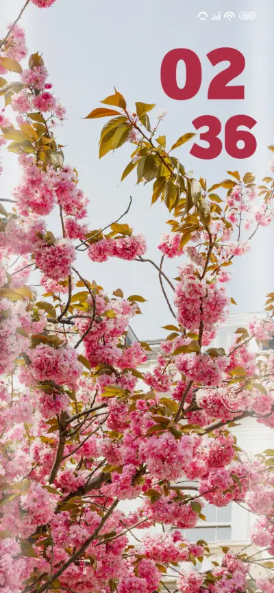 Pink tree - Screenshot 1