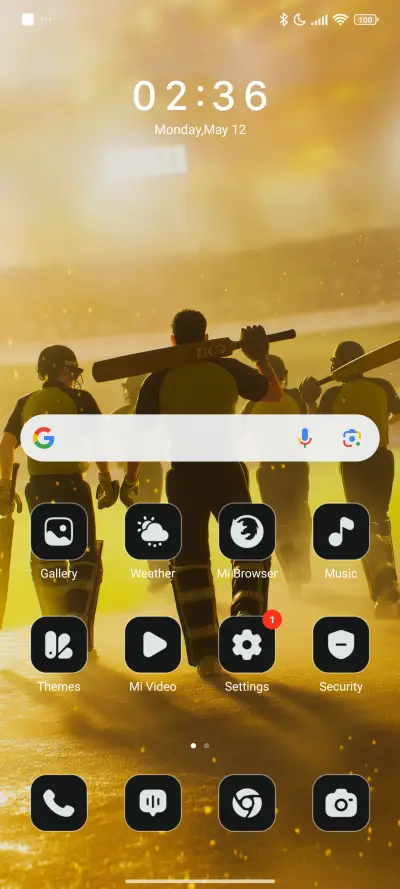 Cricket Storm - Screenshot 2