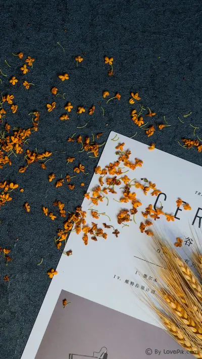 LovePik_Lifestyle (5)