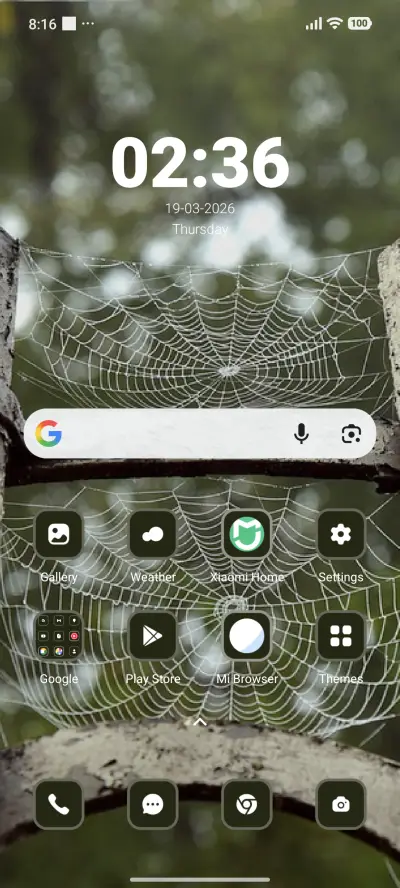 Spider Web - Screenshot 2