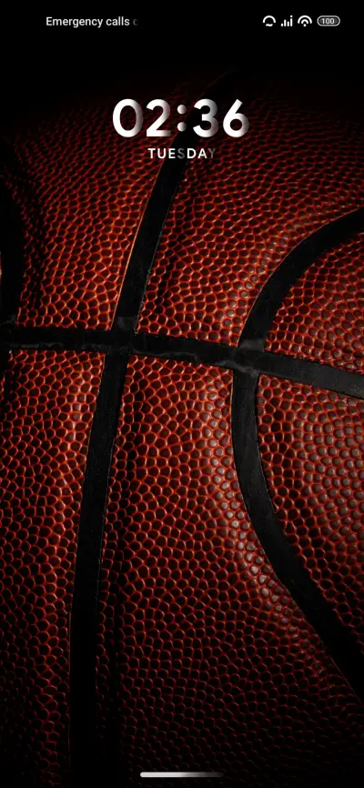 Black Basket - Screenshot 1