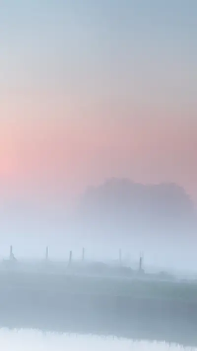 迷雾-【视觉中国】