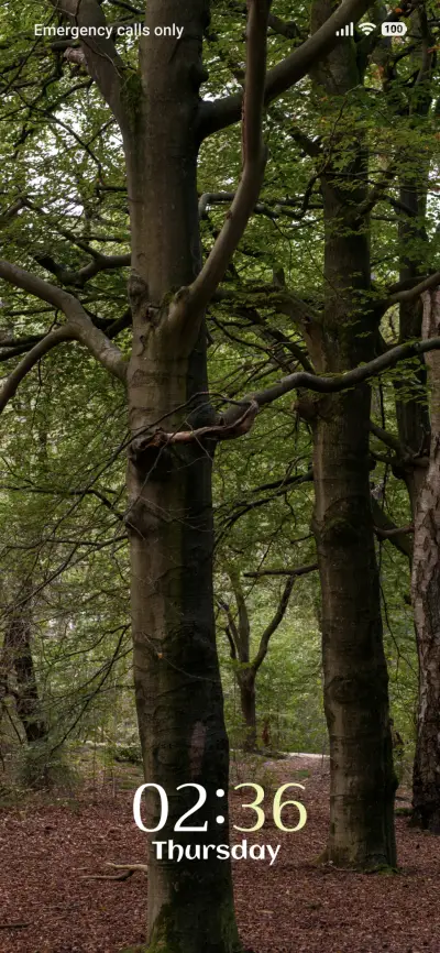 Tall Serenity - Screenshot 1