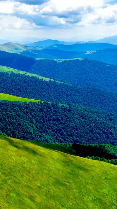 Grassland under the blue sky - Screenshot 1