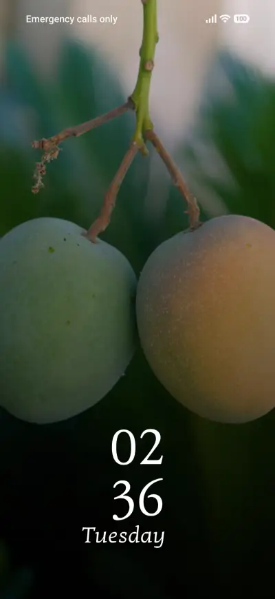 Twin Mangoes THEME for Xiaomi MIUI HyperOS