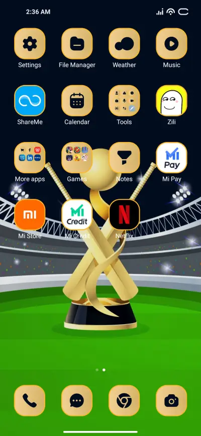 Cup Cricket - Screenshot 3