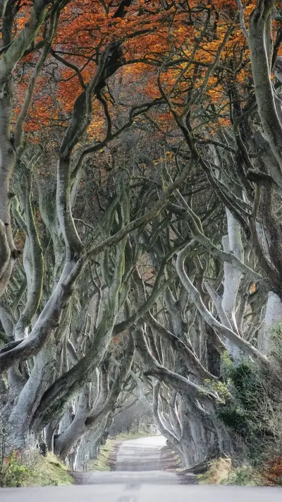 daily wallpapers (19)