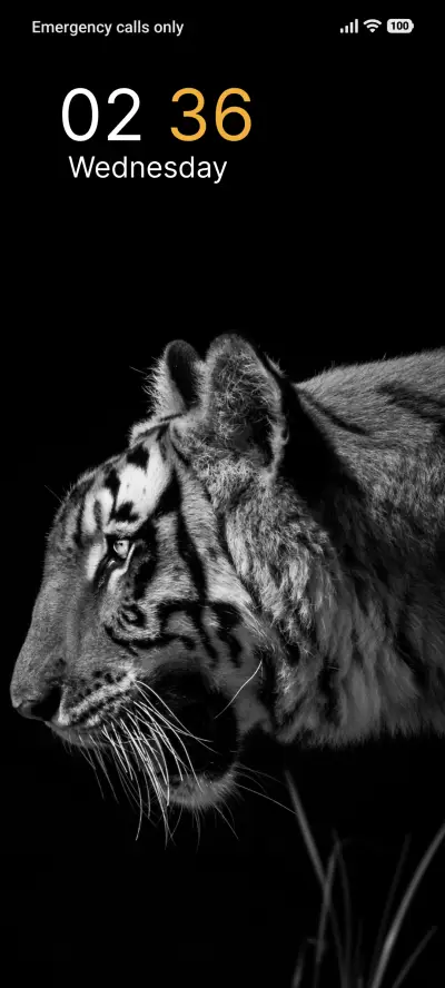 Dark Nighttiger - Screenshot 1