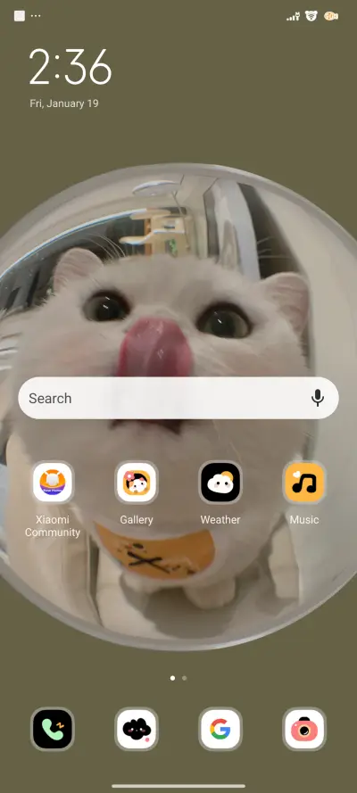 Cat Open The Door - Screenshot 2