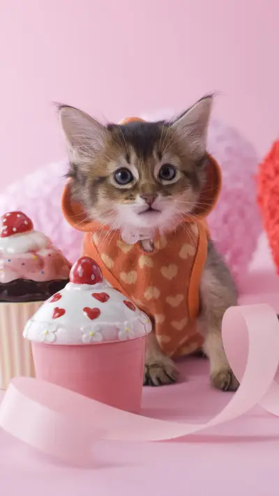 VCG41102495207 - Screenshot 1