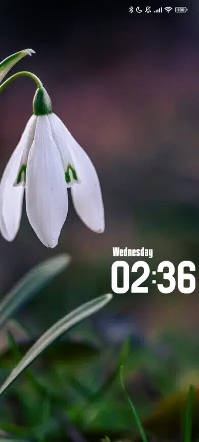 Snowdrop THEME for Xiaomi MIUI HyperOS