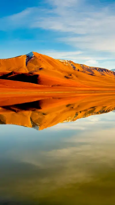 Let's watch together