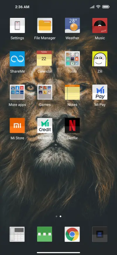 Lion - Screenshot 3