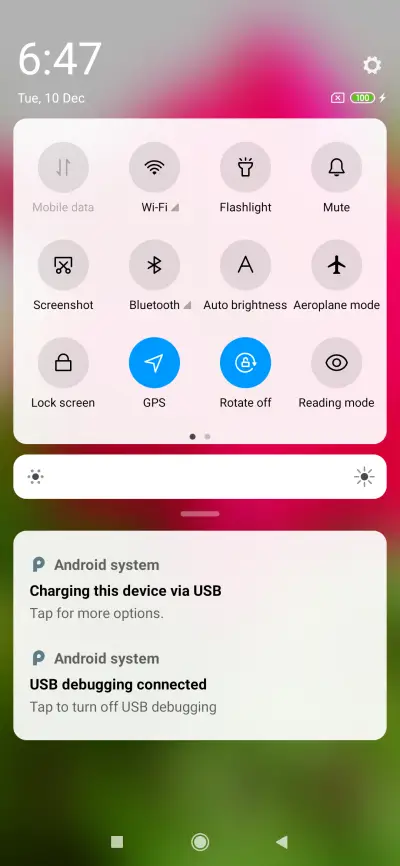 Ind Rose_DWM19 - Screenshot 5