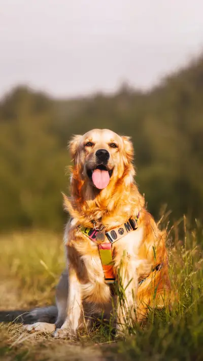 Did you feed them correctly