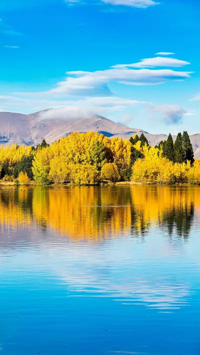 VCG211168235053 - Screenshot 1