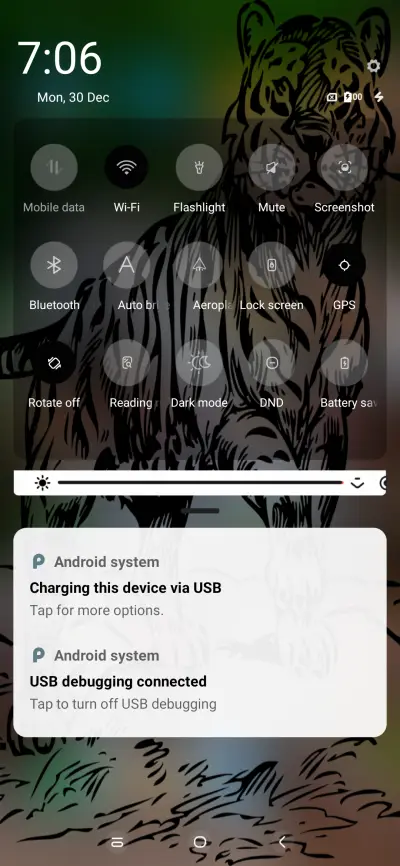 Tiger White - Screenshot 5